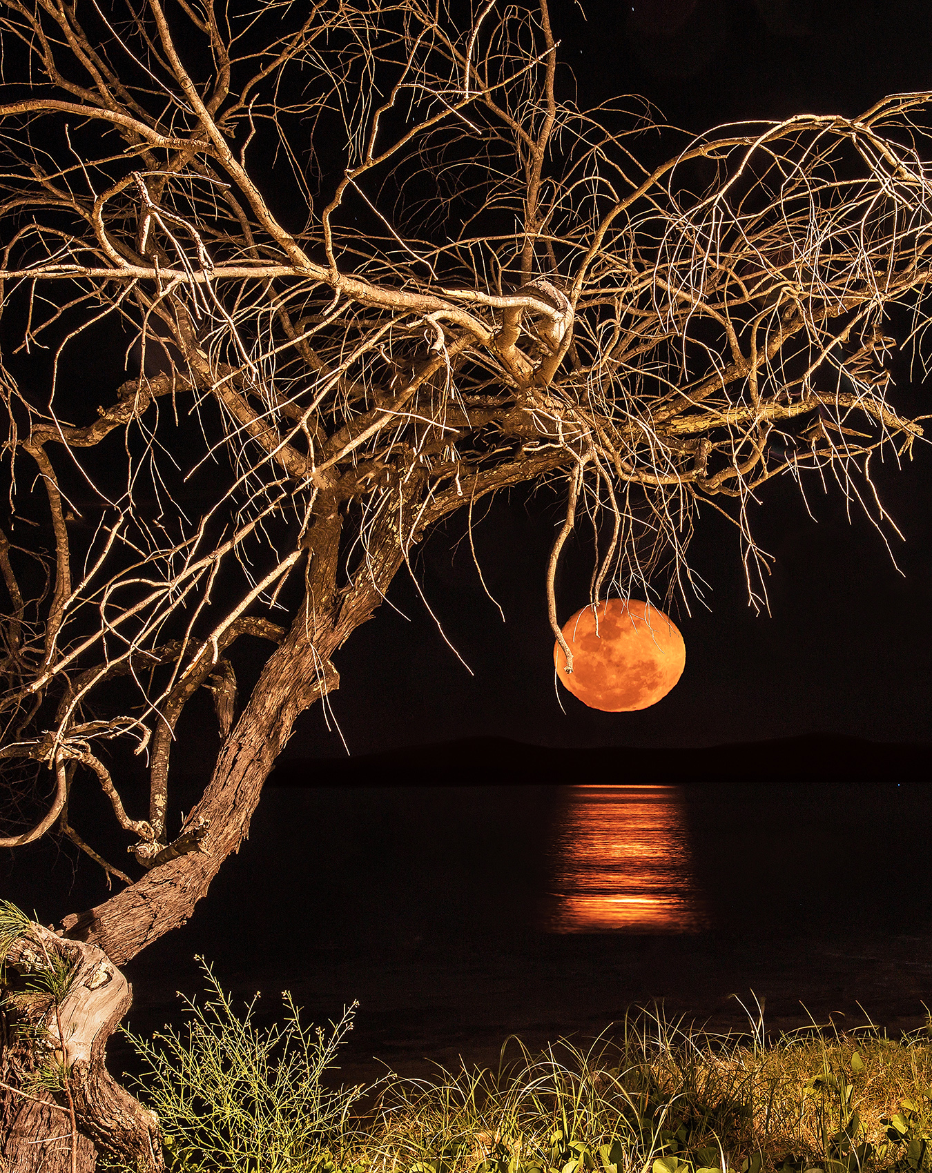 Catching the Moon