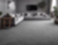 carpet in room grey .jpg