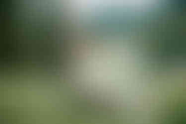 Summer Ski Resort Mountain Wedding Photography in British Columbia