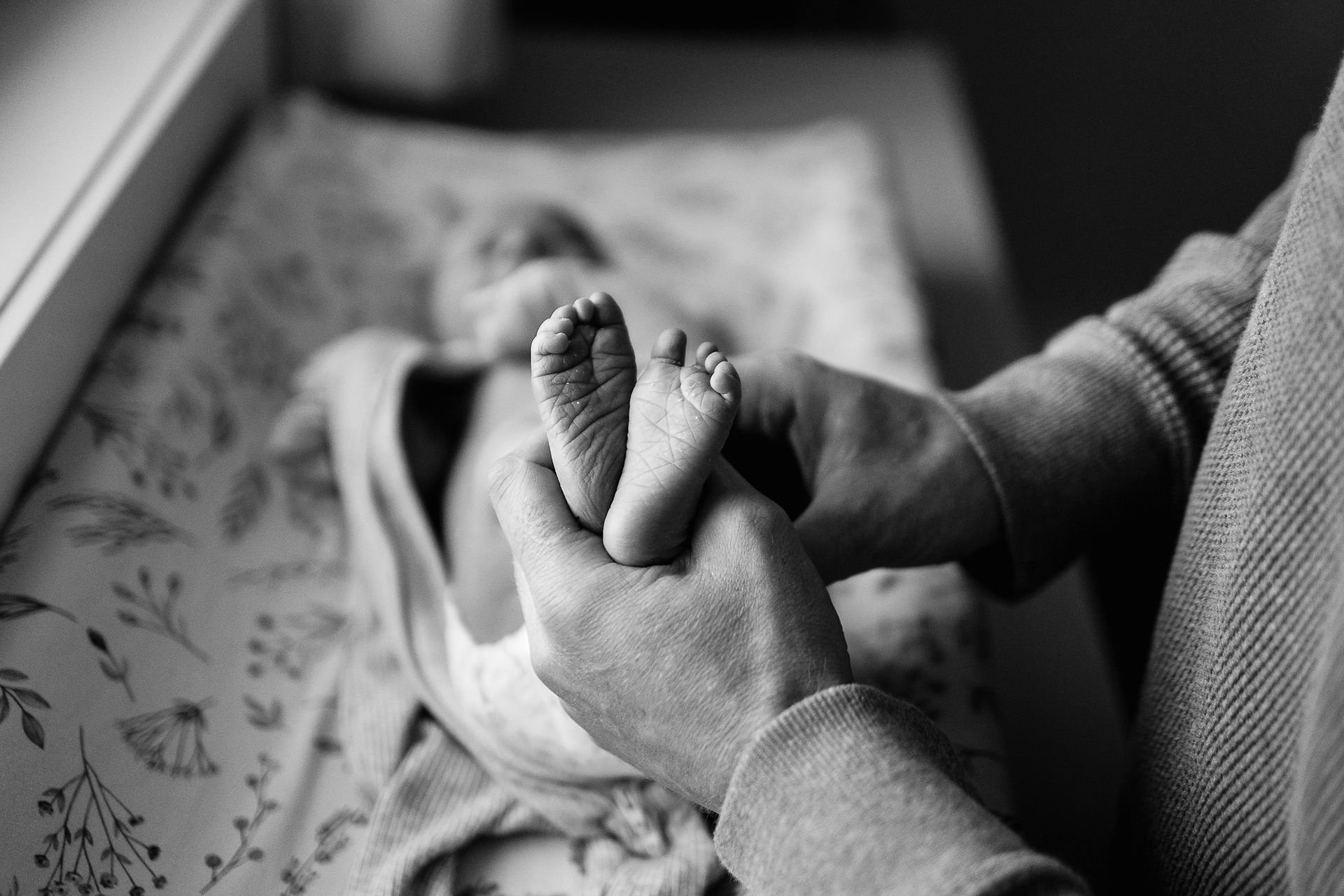 family photographer in Revelstoke British Columbia