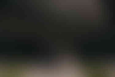 wedding at Tammen Mokki Black Barn Revelstoke British Columbia