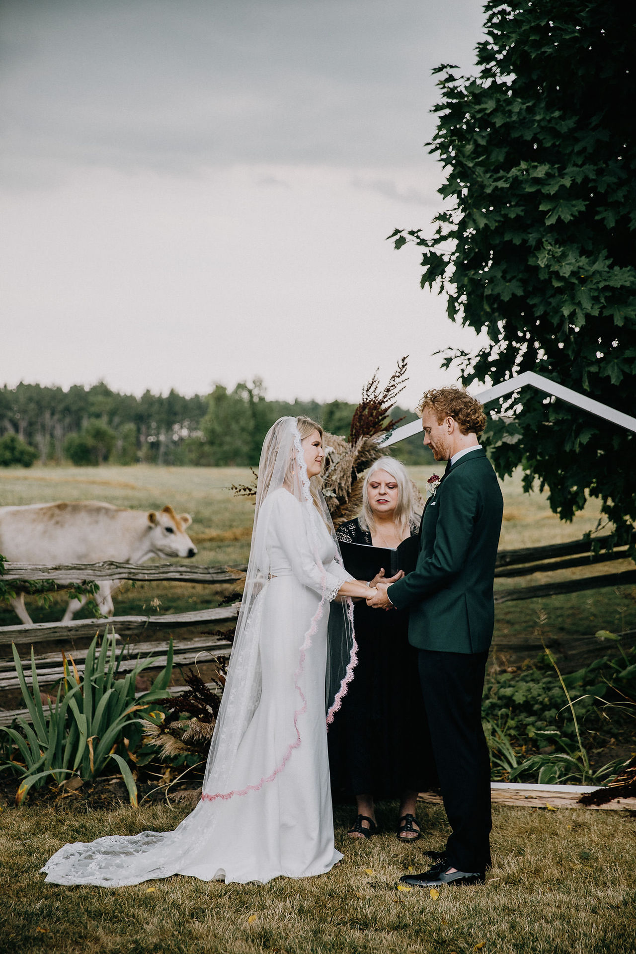 photograph of a wedding ceremony on a farm in British Columbia