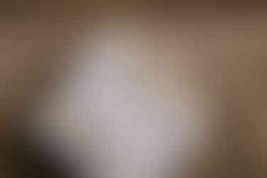 Revelstoke Mountain Resort Wedding in British Columbia