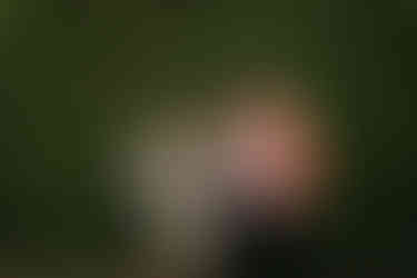 photography of a backyard wedding reception in Toronto