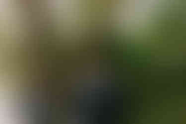 Brantford Documentary wedding photographer