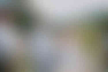 Kicking Horse Mountain Ski Resort Wedding Golden British Columbia Photography