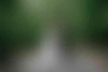 Wedding at Kortright Centre for Conservation