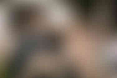 Fernie Alpine Ski Resort Wedding Photographer in British Columbia