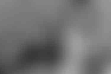 barn wedding near vancouver british columbia