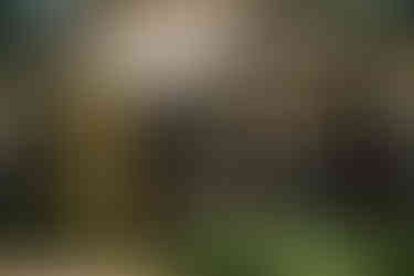 Red Mountain Ski Resort Wedding in Rossland British Columbia