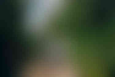 reader rock garden wedding calgary alberta photographer