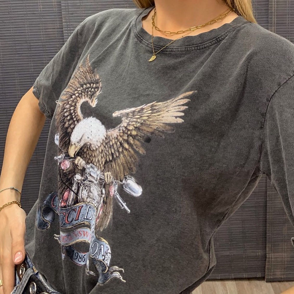 Miniatura: Camiseta águila gris