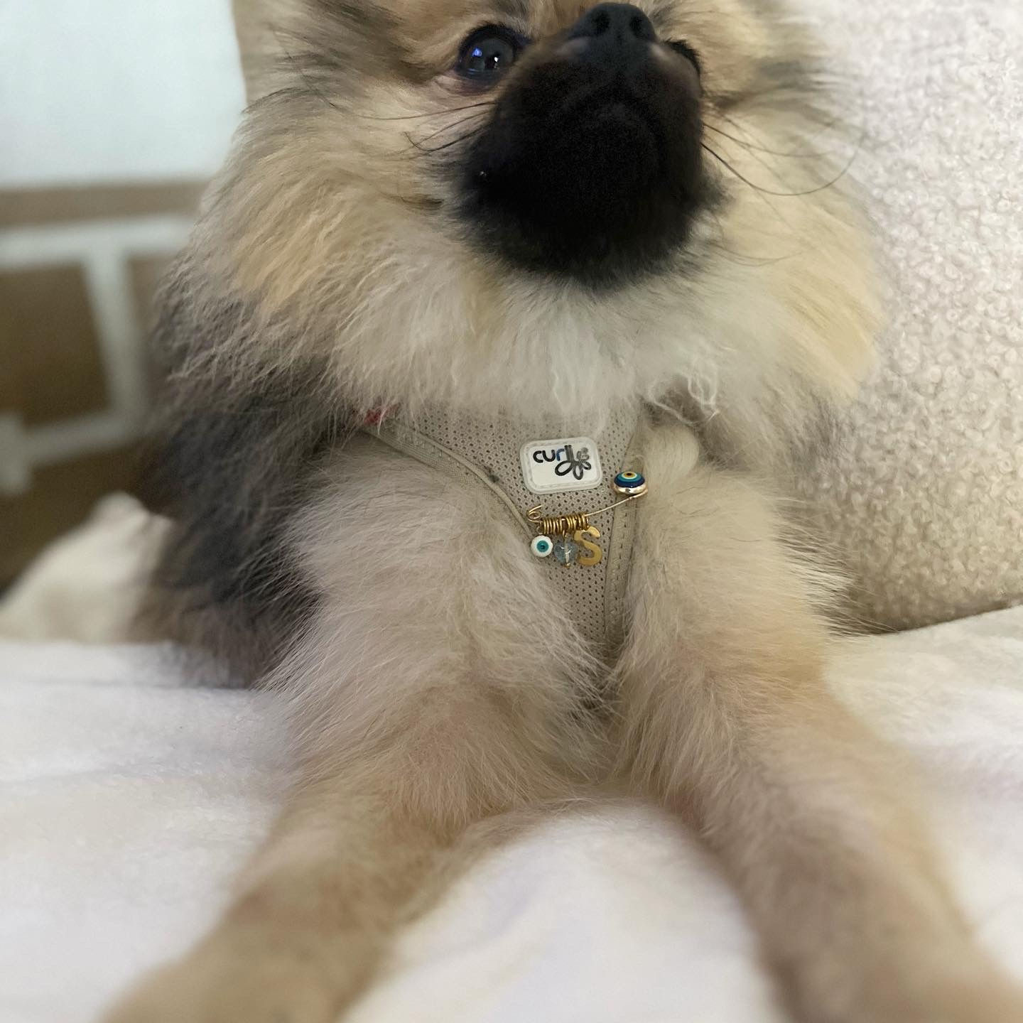 Épingle SIMBA