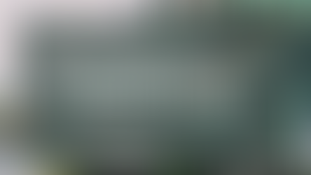 How to Visit Zaanse Schans