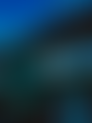 Visiting Iceland in January