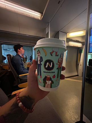 Central Oslo Solo Itinerary
