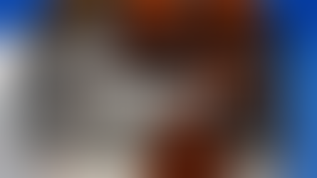 Best Bitterballen in Amsterdam