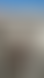 Sintra Day Trip from Lisbon