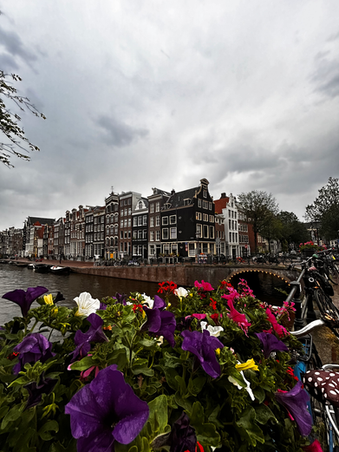 Day trips and tours from Amsterdam