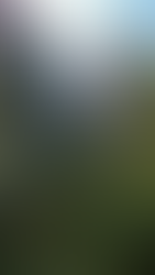 Sintra Day Trip from Lisbon