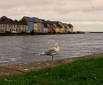 Ireland Solo Travel