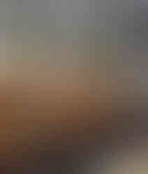 Historic Restaurant Amsterdam