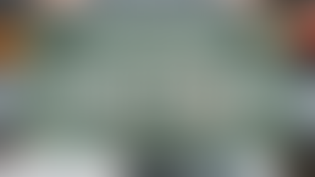 Why Mint Mobile Is the Best Budget Plan Out There