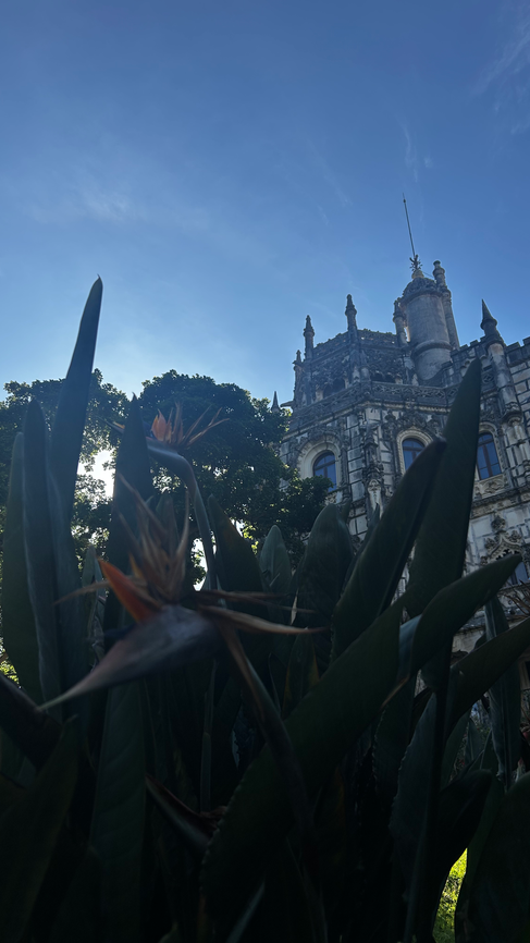 Sintra Day Trip from Lisbon