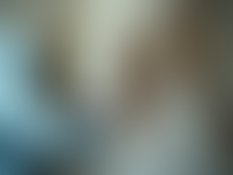 Top Benefits of Certified Mold Inspection Services