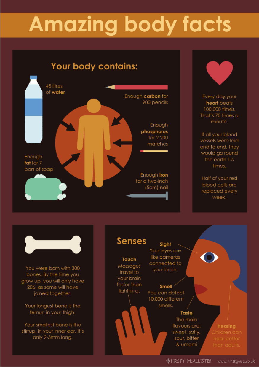 Amazing body facts