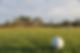 golf-ball-3638706_1280.jpg
