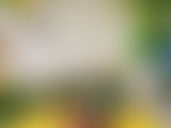 We have been very busy with weddings and engagements, but now we can start refocusing...