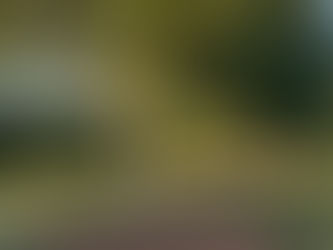 A beautiful morning here in Napoleon Alabama