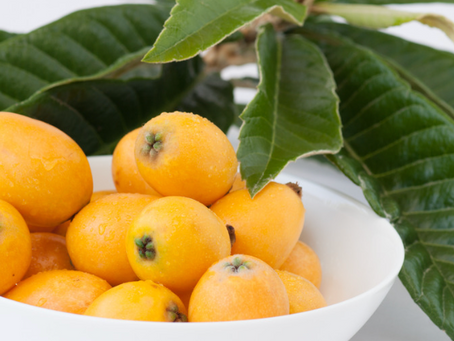 びわの葉のすごさ