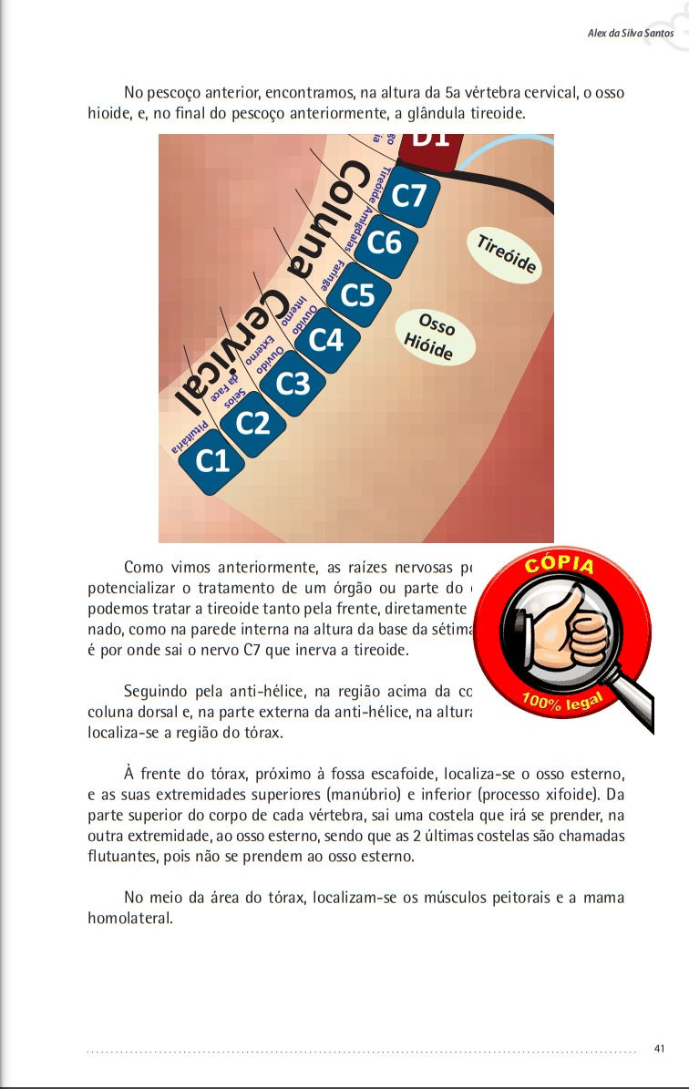 Miniatura: Combo 11: Livro e Mapa de Auriculoterapia Reflexa