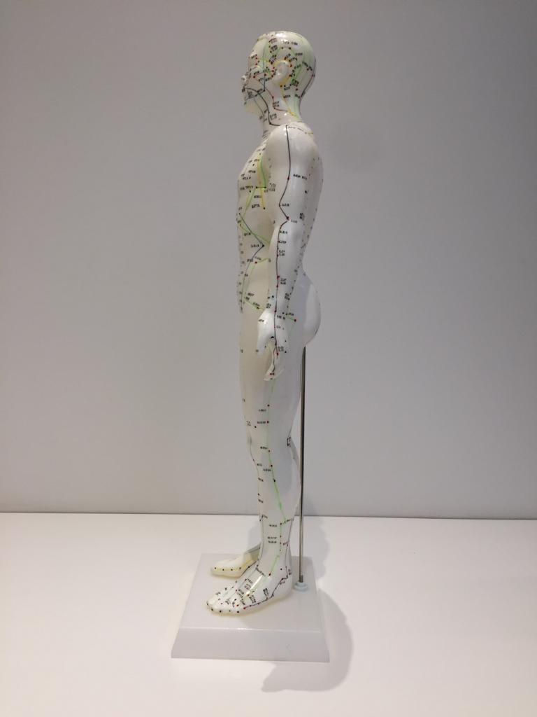 Miniatura: COMBO 12: Manual de Acupuntura Direto ao Ponto - Brochura 6ª ed.+Mod. Masculino