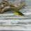 Thumbnail: Half n' Half Streamer Fly, several colors & sizes