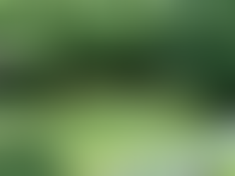 Projekt: Hundegarten