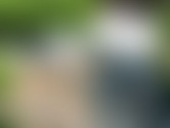 Projekt: Aussengehege für Meeris/Kaninchen komplett zumachen