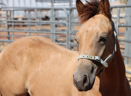 IMG_9807-1 edited 3-1_edited.jpg