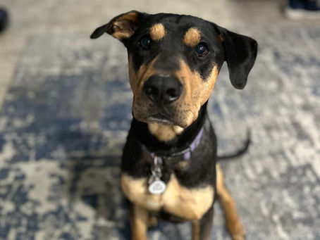 New Website is Live!