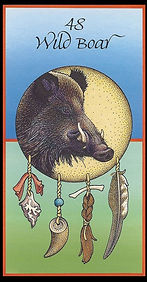 Wild Boar.jpg