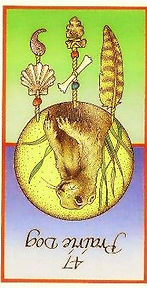 Prairie Dog_edited.jpg