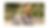 White Simple Beautiful View Blog Banner.png