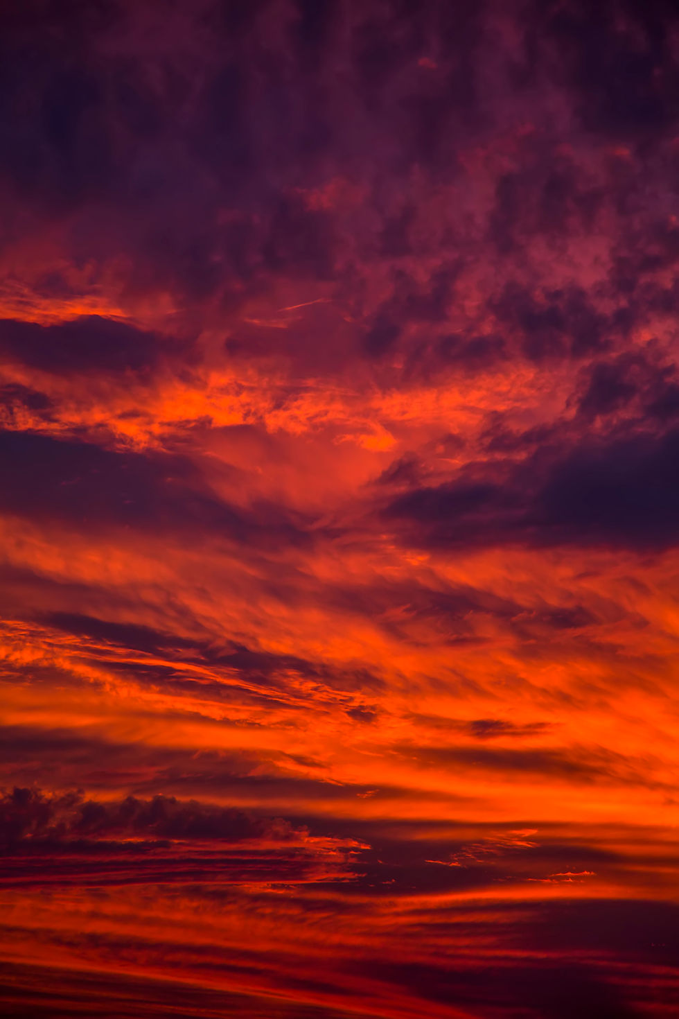 red-sky-2025-02-22-09-47-47-utc.jpg