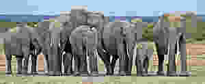 images-4.jpeg