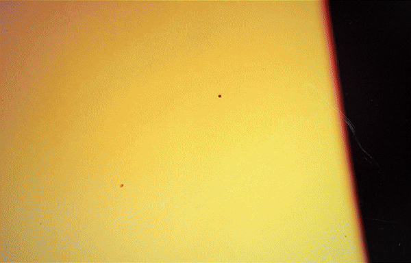 S2-ezgif.com-video-to-gif-converter