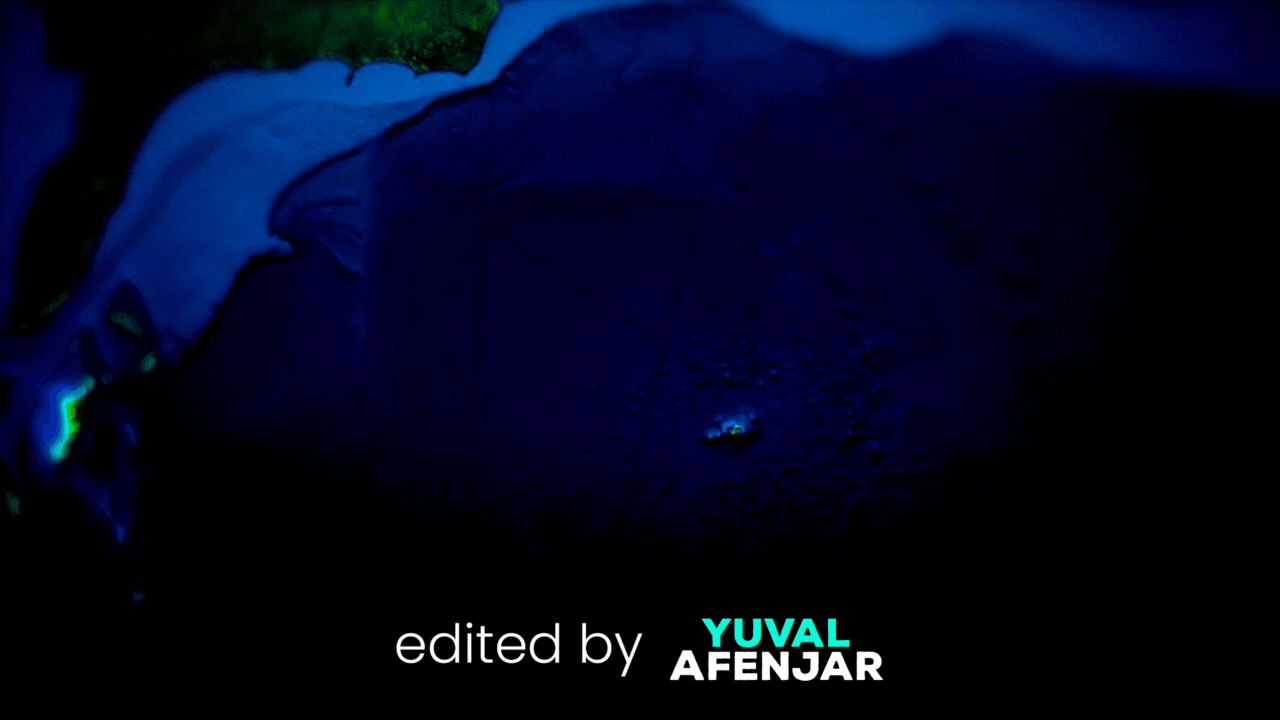 Untitled design (4).gif