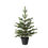 Thumbnail: VINTER Artificial Potted Plant, in/outdoor/Christmas tree Green 12cm by IKEA