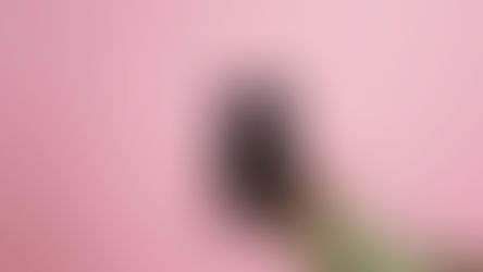 Designing our own path at work through core values 